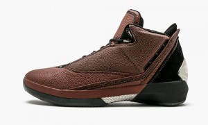 Nike Air Jordan 22 Skor Herr Svarta Bruna | 319-WVOSRZ