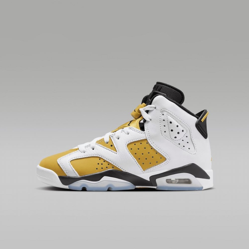 Nike Air Jordan 6 Retro \