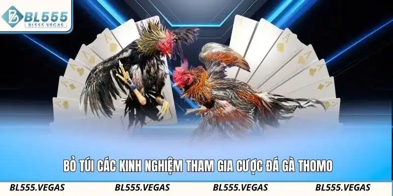 Bỏ túi các kinh nghiệm tham gia cược đá gà Thomo