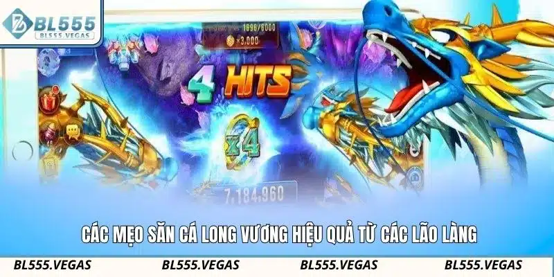 Các mẹo săn cá Long Vương hiệu quả từ các lão làng